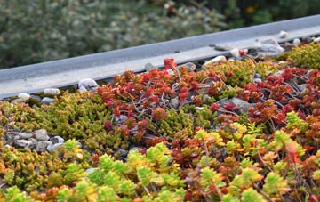 the cost of Hazelhurst green roof installation