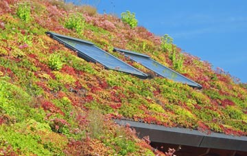 Hazelhurst living roof systems